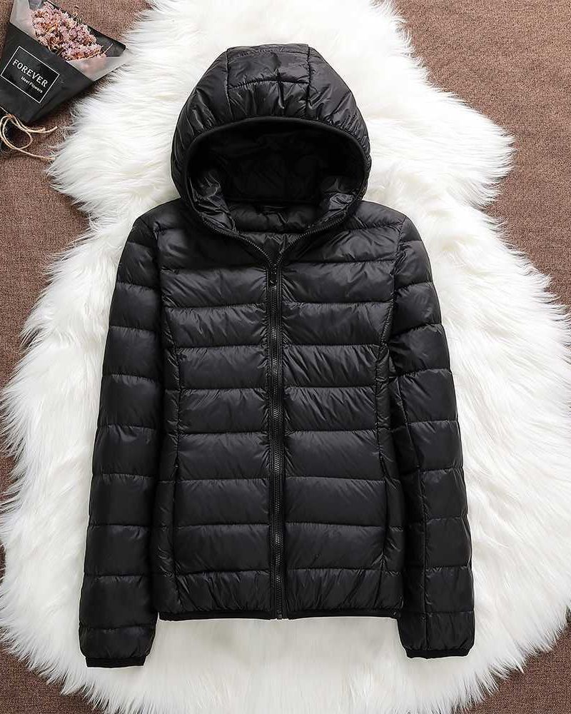 North - New Waterproof Jacket