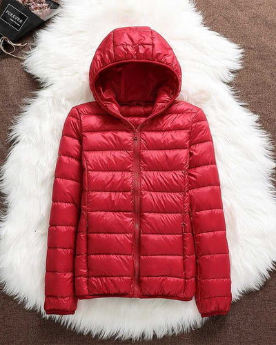 North - New Waterproof Jacket