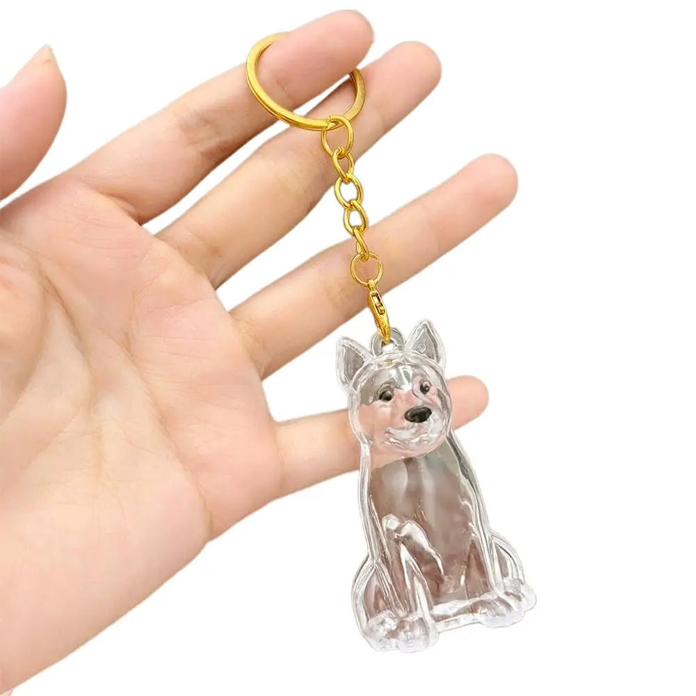 FurKeeps - Transparent Pet Hair Keychain