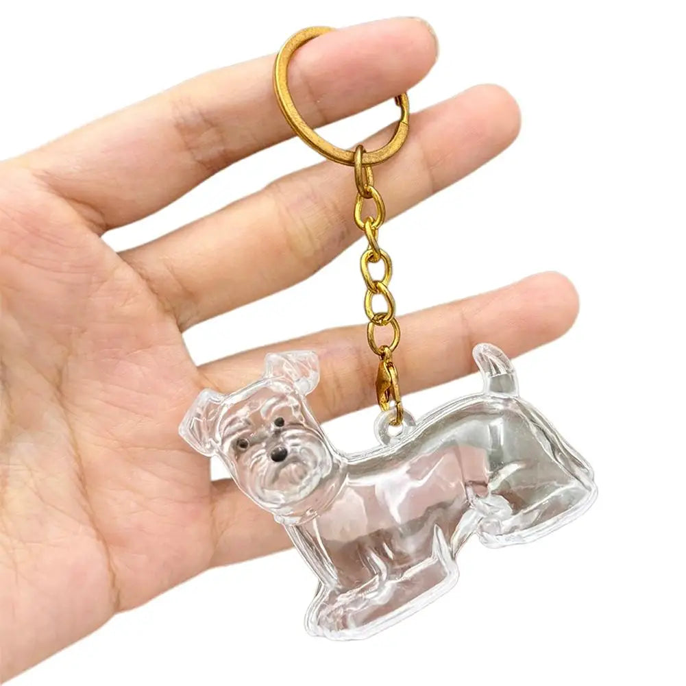 FurKeeps - Transparent Pet Hair Keychain